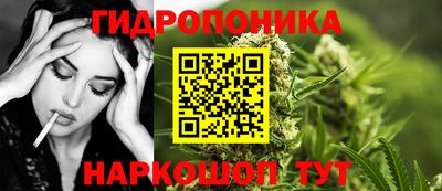 apvp Кизляр