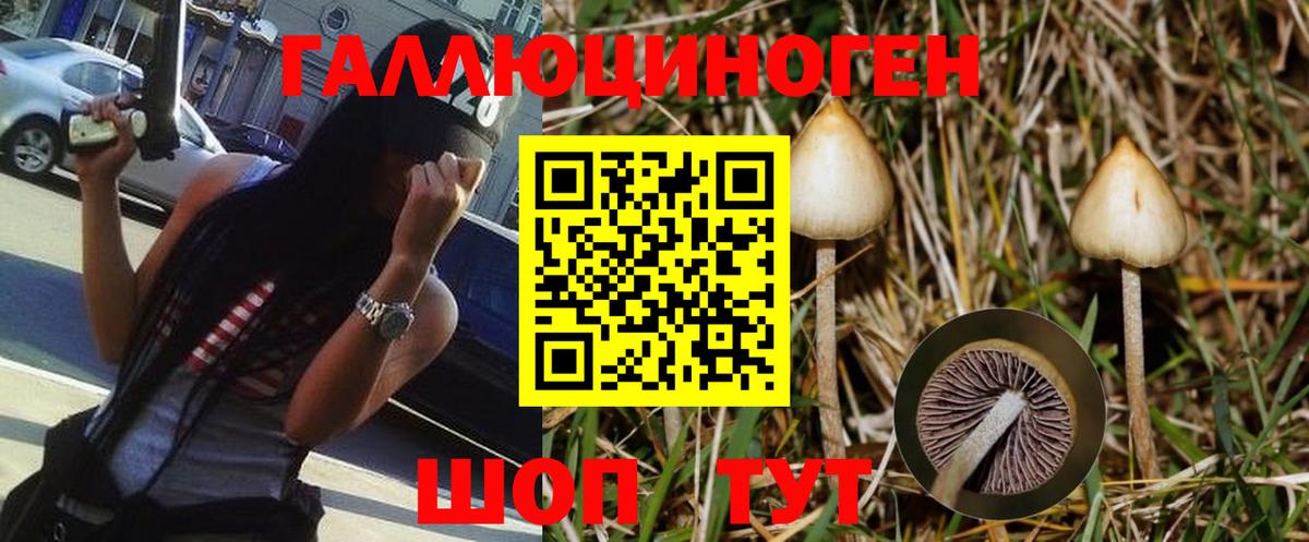 Псилоцибиновые грибы Psilocybe  Вход с VPN  Псилоцибиновые грибы ЛСД  Москва 