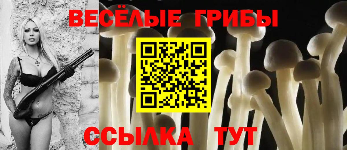 Псилоцибиновые грибы мухоморы Москва